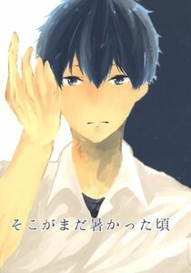 ハイキュー同人誌「そこがまだ暑かった頃」影日