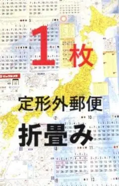 2025年(令和7年)ビックカメラカレンダー　1枚　折畳み