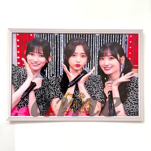 《乃木坂46》公式グッズ 1枚 ポストカード 新 乃木坂 スター誕生 5期生 ライブ池田瑛紗 井上和 一ノ瀬美空 (×生写真