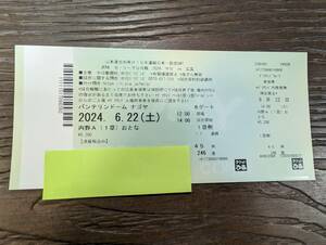 セ・リーグ公式戦 2024 中日 VS 広島 6月22日 内野A (1塁) バンテリンドーム ナゴヤ 観戦チケット f