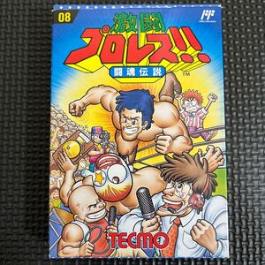 激闘プロレス 闘魂伝説 箱付き 説明書付き ファミコン ソフト FC ファミリーコンピュータ