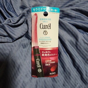 ★値下げ★激安特価54％OFF★キュレル Curel キュレル リップケア クリーム 美発色ボルドー