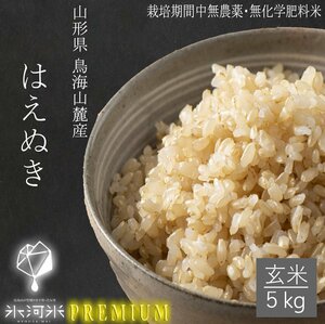 【栽培期間中、農薬・化学肥料不使用 】はえぬき　玄米５ｋｇ　氷河米プレミアム　山形県庄内産　産地直送　令和５年産　送料無料　無農薬