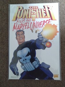 The Punisher Kill The Marvel Universe/パニッシャー・キルズ・ザ・マーベル・ユニヴァース アベンジャーズ エックスメン アメコミ 