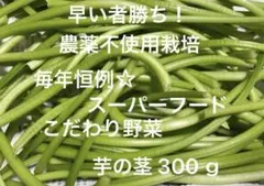 農薬不使用栽培 野菜詰め合わせ 芋の茎 芋づる 300ｇ 早い者勝ち！