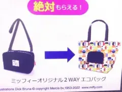 ★非売品★エースコック　ミッフィーバッグ　エコバック　2WAYエコバック