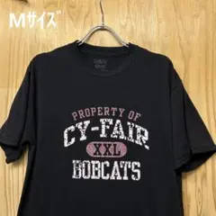 USA古着Tシャツ　Mサイズ JERZEES ブラック