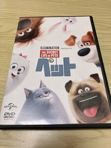 中古DVD ペット