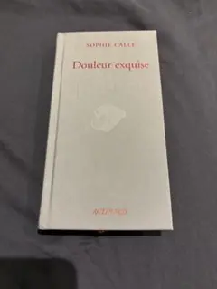 極美品Sophie Calle Douleur exquise