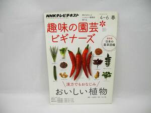 b5763 /趣味の園芸ビギナーズ 2014年 04月号