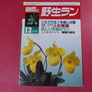 YN4-241219☆自然と野生ラン 1987年12月号　寒蘭 ウチョウラン エビネ ミヤマウズラ ※ 園芸JAPAN