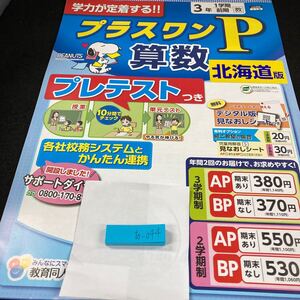 あー044 北海道版 プラスワンP 算数 ３年 1学期 前期 教育同人社 スヌーピー 問題集 プリント 学習 ドリル 小学生テキスト テスト用紙※7