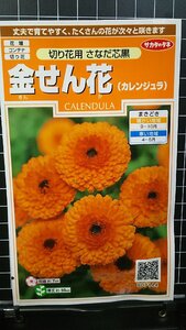 ３袋セット 金せん花 さなだ 芯黒 キンセンカ カレンジュラ 種 郵便は送料無料