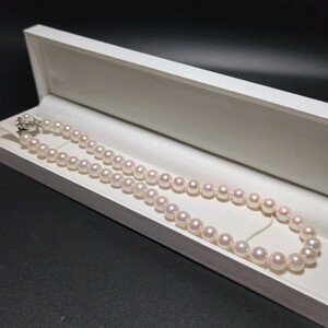 【大珠】ケース付 アコヤ真珠 8.0-8.5mm 44.5cm 干渉色 ホワイト ネックレス 本真珠 アクセサリー SILVER pearl あこや パール