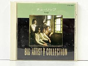 チューリップ CD チューリップ/BIG ARTIST BEST COLLECTION