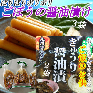 【宮崎の漬物】 ごぼう醤油漬 100g×3袋 きゅうり醤油漬 100g×2袋 おかず ご飯のお供 お酒の肴 送料無料