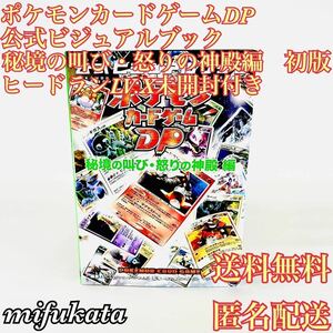 ポケモンカードゲームDP 公式ビジュアルブック 秘境の叫び・怒りの神殿編 初版 ヒードランLV.X未開封 送料無料 匿名配送