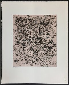 真作保証品『中林忠良 オリジナル銅版画 水 限定76/100部』昭和52年 直筆サイン・エディション入