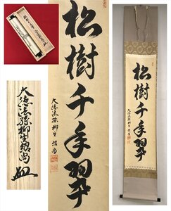 【千寿】大徳寺派 柳生芳徳寺 柳生紹尚 松寿千年翠 一行書 紙本 a226◆箱 茶道具 古美術 時代品 掛軸 100016946