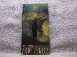 8cmCD/PENICILLIN/Butterfly