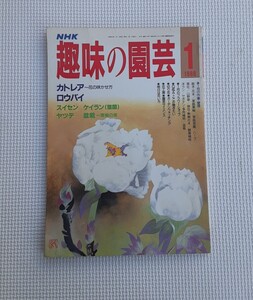 NHK 趣味の園芸 1988 1 昭和レトロ 本 雑貨 コレクション 資料 花の咲かせ方 作業 管理 雑誌