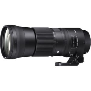 SIGMA 150-600mm F5-6.3 DG OS HSM | Contemporary C015 | Canon EFマウント |