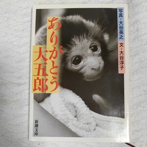 ありがとう大五郎 (新潮文庫) 大谷 淳子 大谷 英之 9784101459110