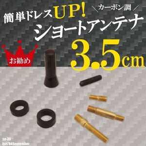 ショートアンテナ 3.5cm カーボン仕様 トヨタ アイシス ’04 9月～ 汎用 車 黒 ブラック TOYOTA パーツ 受信 カーボン調 ヘリカル