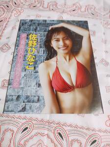 佐野ひなこ　　雑誌の切り抜き　　　８ｐ