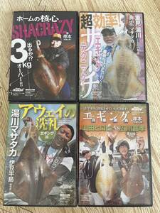 エギング　DVD 検索 ヤマラッピ 湯川 重見 児島玲子　池内　笛木 薗田 など 4枚セット　DISCのみ送料180円にて対応します 5