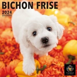 新品 ビション・フリーゼ PICTWAN (ピクトワン) カレンダー DOG 【L版】 2024年カレンダー24CL-50003L