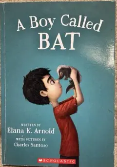 A Boy Called Bat