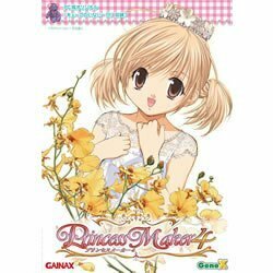 プリンセスメーカー4(中古品)