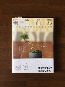 景色盆栽 インテリアに映える小さな自然 小林健二 難あり