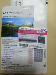 【送料無料】ANA　株主優待券1枚＋グループ優待券１冊