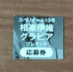 ★応募券のみ♪ ビッグコミック スペリオール 2024年 13号 相楽伊織 x 住みにごり サイン入りチェキ 色紙 QUOカード 森田の愛プレゼント 