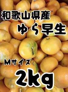 @27 和歌山県産 ゆら早生 2kg サイズ混合 ご家庭用 極早生 みかん 有田みかん