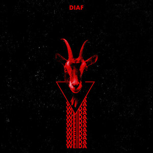 DIAF Weida Vinyl LP ( Limited 500 Black with red streaks Vinyl ) Young And Cold Records ドイツ (Darkwave/Neofolk/Post Punk)