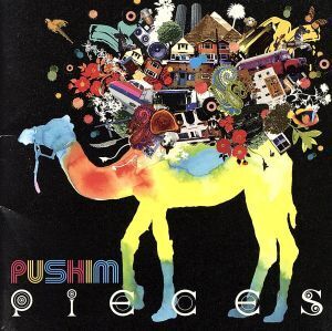 PIECES/PUSHIM