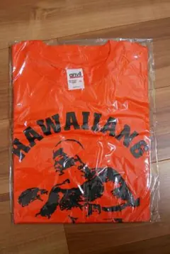 Hawaiian6 Beginnings Tour 2005 Tシャツ Mサイズ