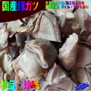 人気ホルモン「ガツ1kg」国産・ボイル済み、独特の歯ごたえはを楽し下さい。