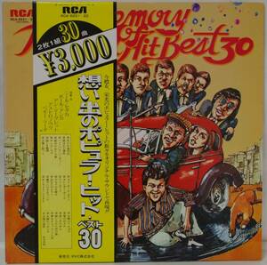 中古2枚組LPレコード簡易洗浄済み：Memory of Popular Hit Best 30 / 思い出のポピュラー・ヒット・ベスト30 (国内盤：RCA-8221～22)