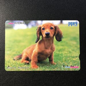 2004年5月25日発売柄ー犬シリーズ「ダックスフンド」ー阪急ラガールカード(使用済スルッとKANSAI)