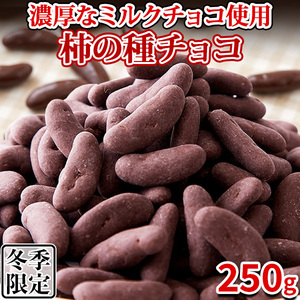 チョコレート 柿チョコ 柿の種チョコ ミルクチョコ 訳あり 洋菓子 お菓子 スイーツ 常温 子供 安い プチ ギフト おしゃれ お取り寄せ 250g