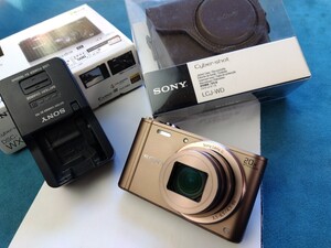 SONY Cyber-shot DSC-WX300 ブラウン　動作確認済み ソニー コンパクトデジタルカメラ サイバーショット デジタルカメラ