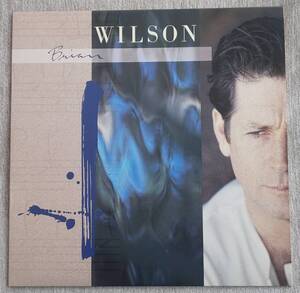 Brian Wilson / Brian Wilson(1st)（ブライアン・ウィルソン） [LP]