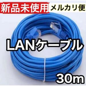 LANケーブル 30M RJ-45 8芯 Cat 5 最大100Mbps181