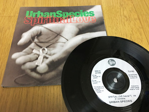 R&B45★[URBAN SPECIES / Spiritual Love] 激レア オリジナル 7inch 7インチ EP 90