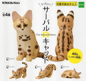 ◇◇◇　(即決]　カプセルコレクション　ちっちゃい　サーバルキャット　( 全４種セット )