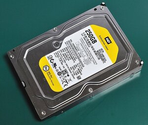 WD WD2503ABYZ (250GB/SATA)[管理:SA1039]